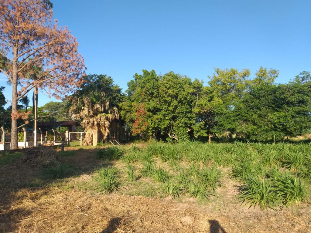305 ha Hotel rural en San Miguel