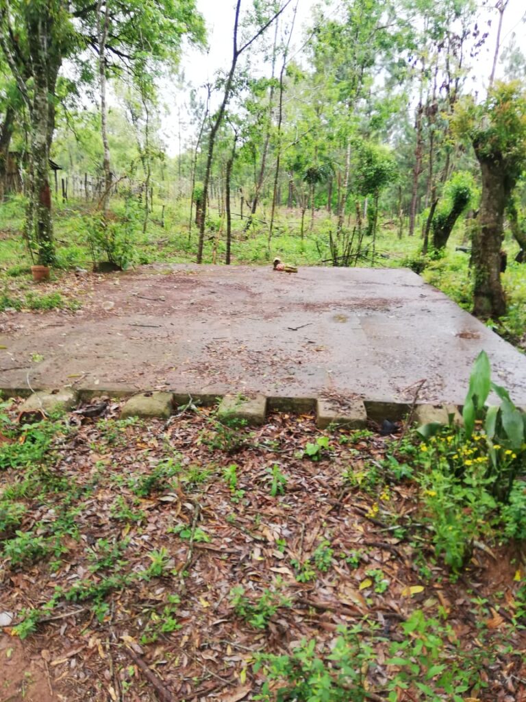 305 ha Hotel rural en San Miguel