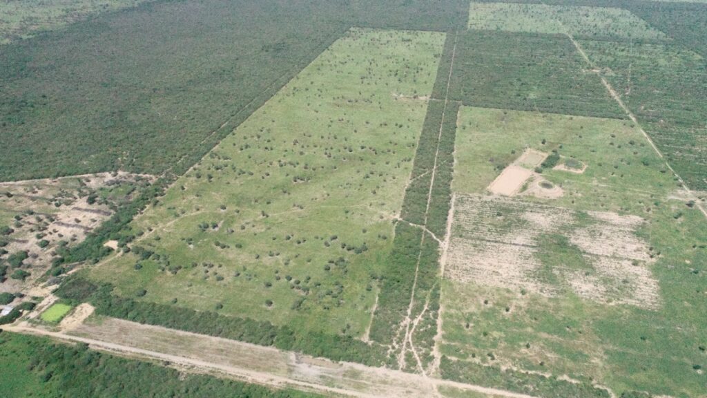 3100 ha Hermosa Estancia en Ávalos Sánchez