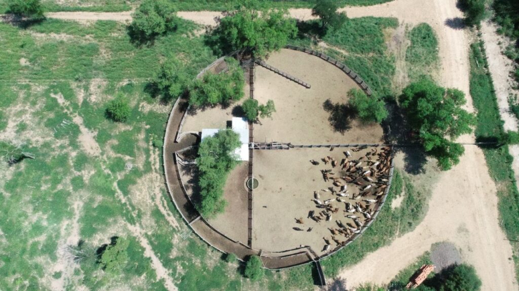 3100 ha Hermosa Estancia en Ávalos Sánchez