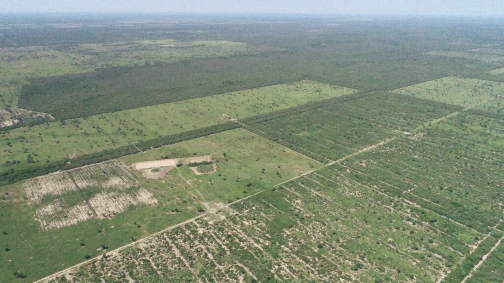 3100 ha Hermosa Estancia en Ávalos Sánchez