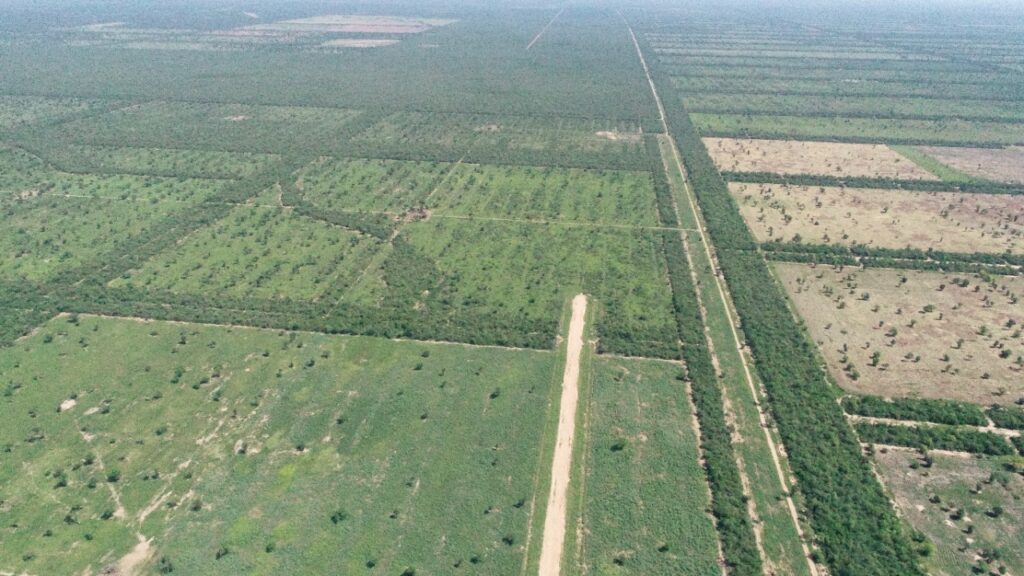 3100 ha Hermosa Estancia en Ávalos Sánchez