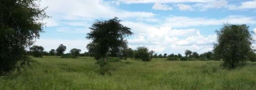 31677 ha Estancia Fuerte Olimpo – Toro Pampa Oeste.