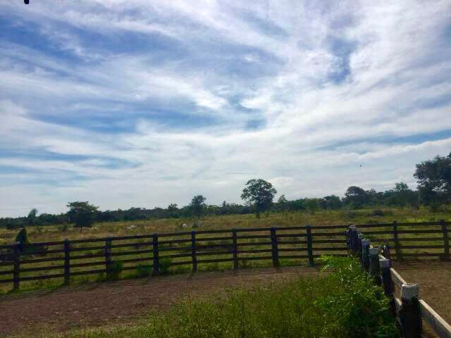 380 ha Estancia en Puerto Ybapobó