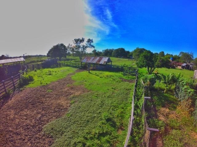 380 ha Estancia en Puerto Ybapobó