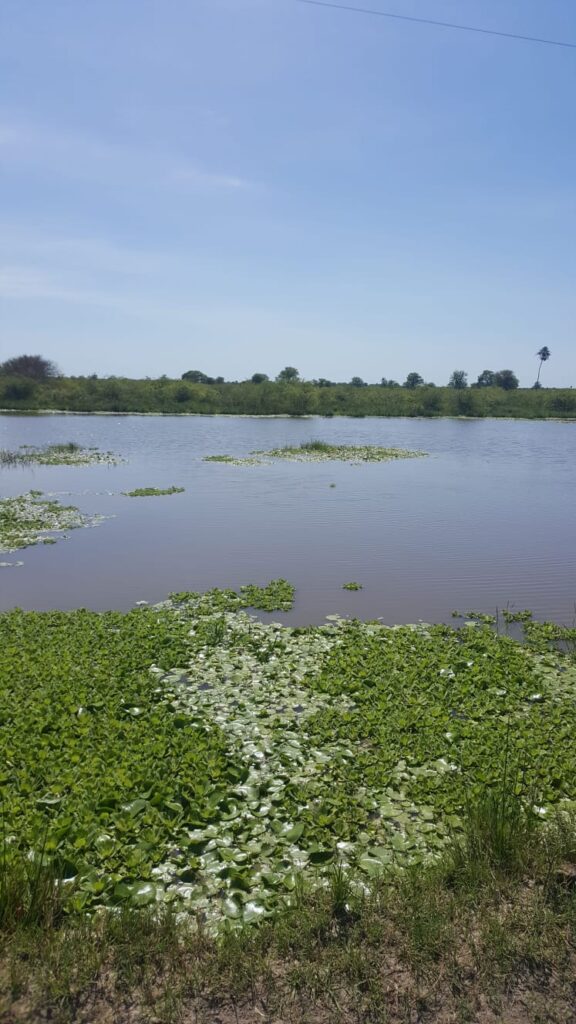 3800 ha Estancia en Ruta Ñ