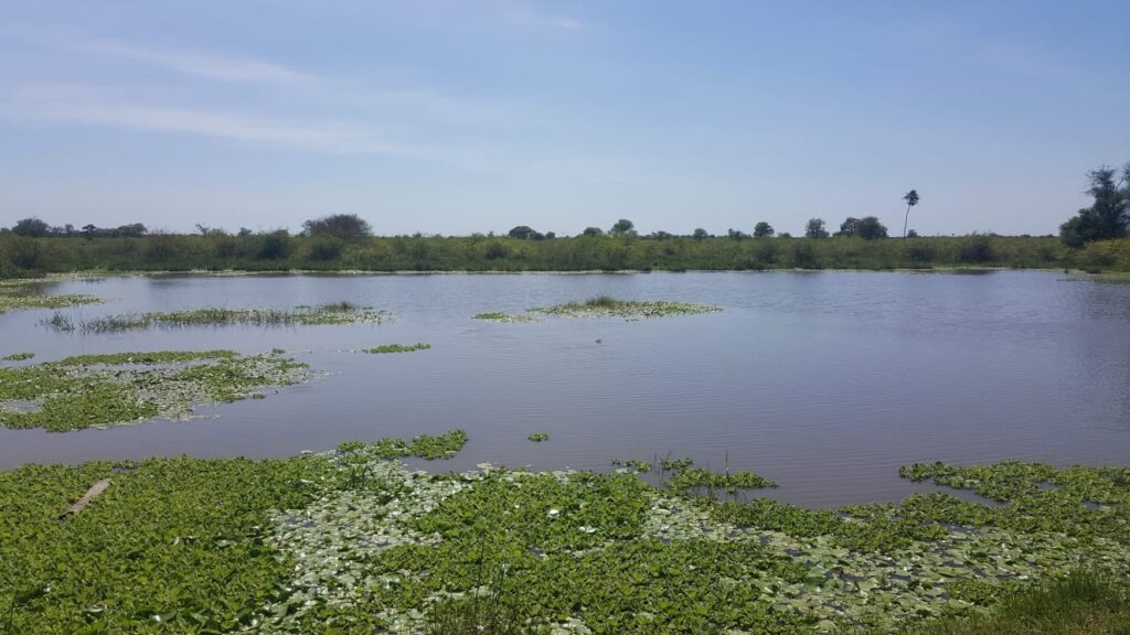 3800 ha Estancia en Ruta Ñ