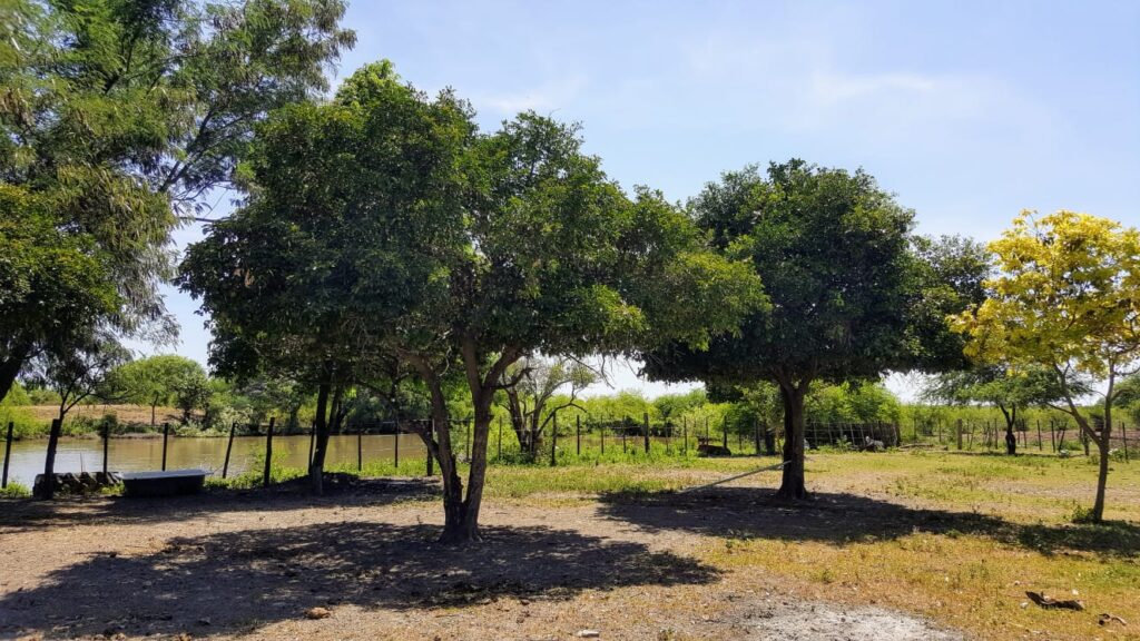 3800 ha Estancia en Ruta Ñ