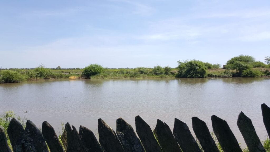 3800 ha Estancia en Ruta Ñ