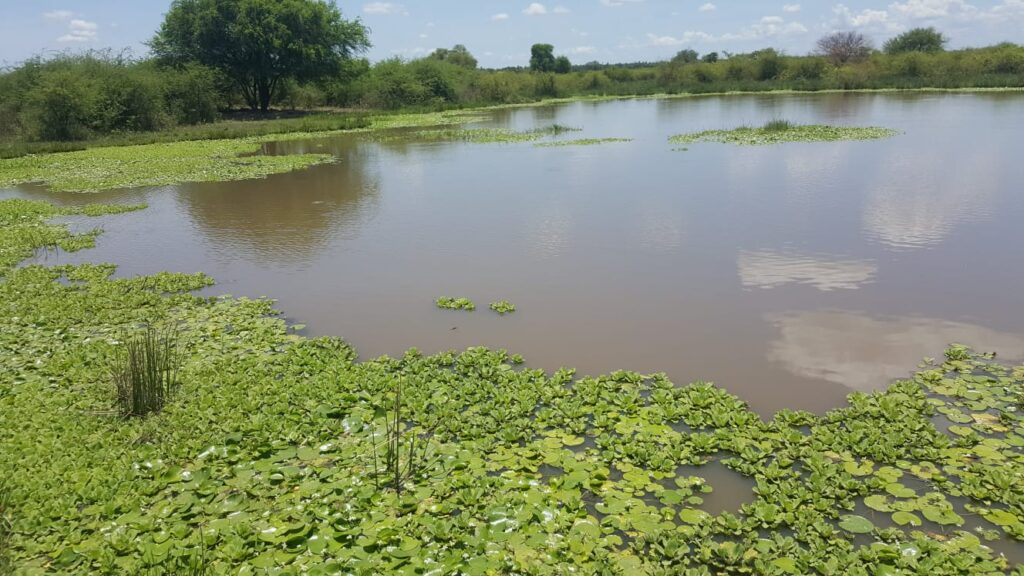 3800 ha Estancia en Ruta Ñ