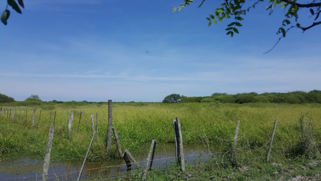 3800 ha Estancia en Ruta Ñ