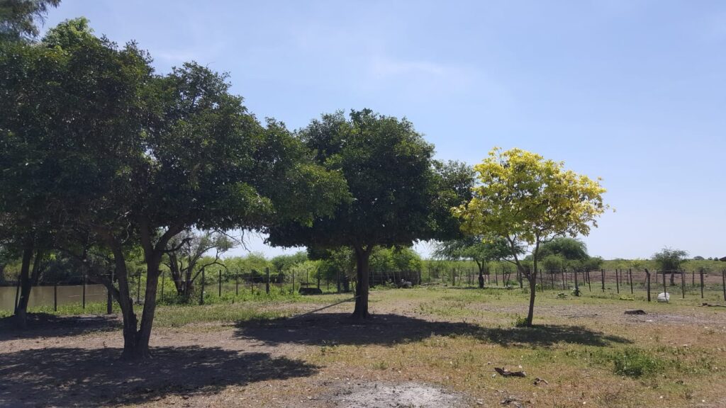 3800 ha Estancia en Ruta Ñ