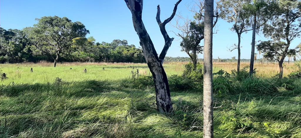 4090 ha Estancia en Villa del Rosario