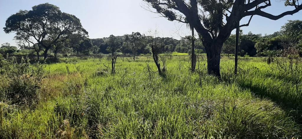 4090 ha Estancia en Villa del Rosario