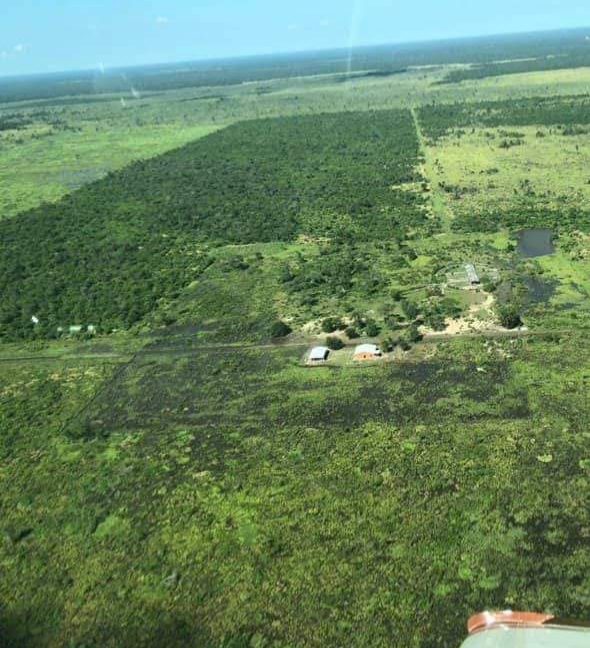 4900 ha Nueva Toledo – Caaguazú