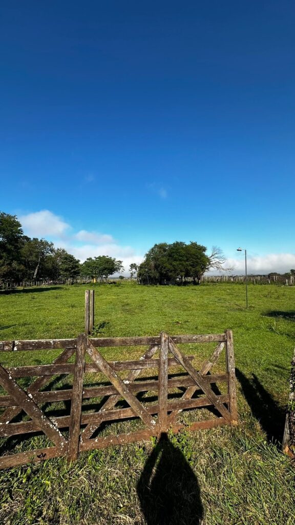 50 ha en Arroyos y Esteros