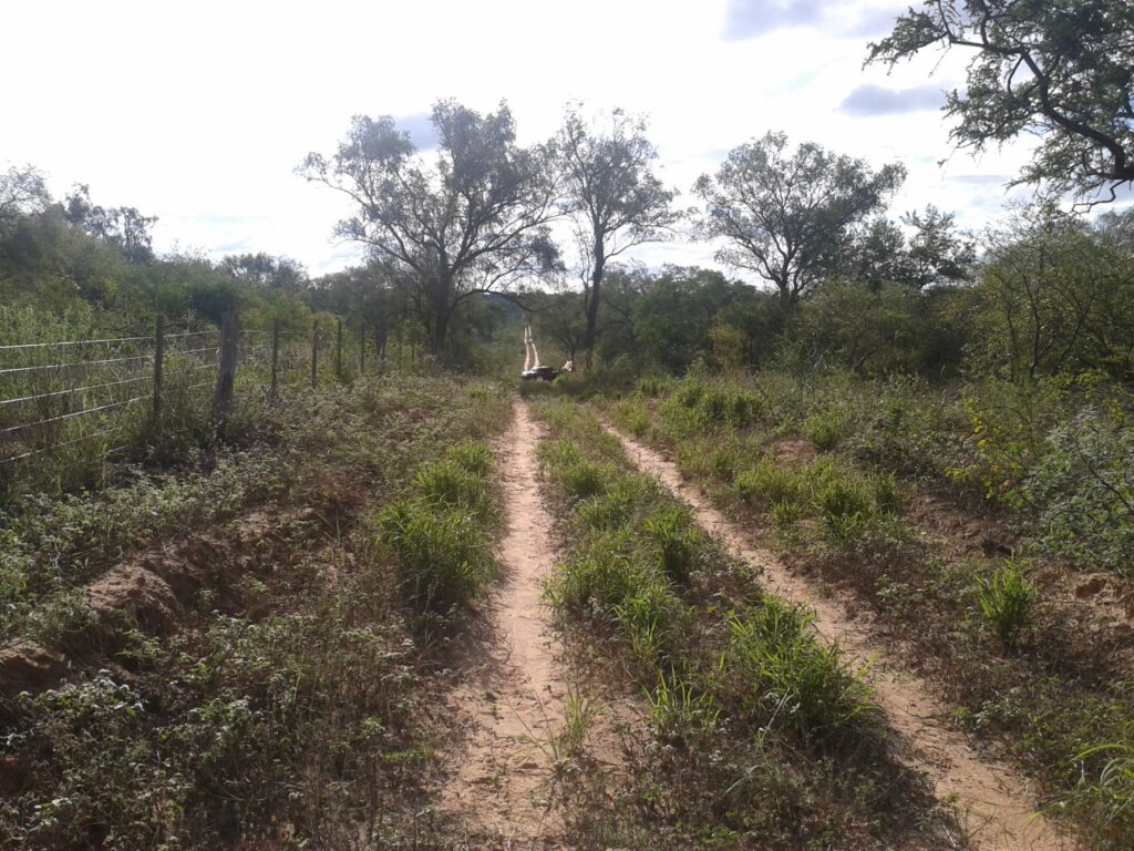 5000 ha Estancia en La Patria