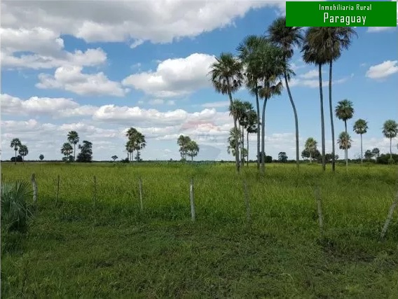 4120 ha Estancia en Pozo Colorado