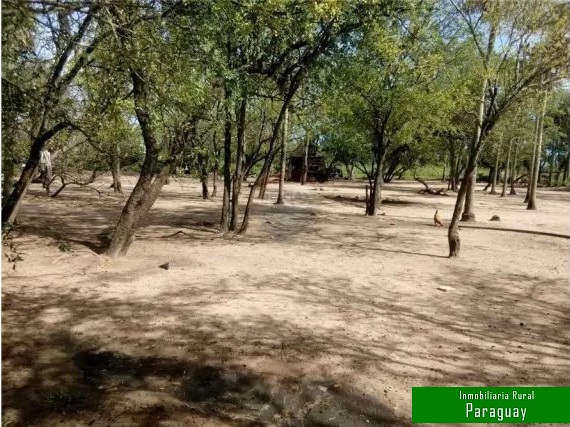 4120 ha Estancia en Pozo Colorado
