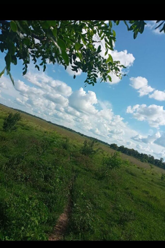 Venta Campo o estancia 565 ha 565 ha Estancia en Arasapé, San Miguel