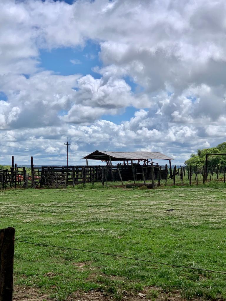 Venta Campo o estancia 565 ha 565 ha Estancia en Arasapé, San Miguel