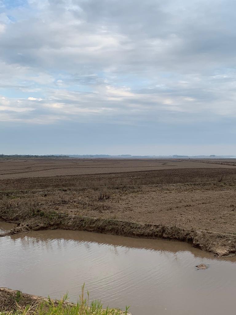 Venta Campo o estancia 565 ha 565 ha Estancia en Arasapé, San Miguel