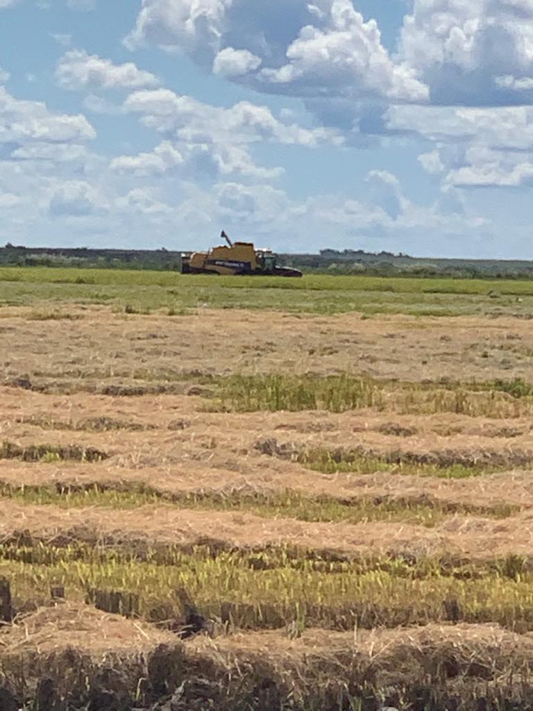 Venta Campo o estancia 565 ha 565 ha Estancia en Arasapé, San Miguel