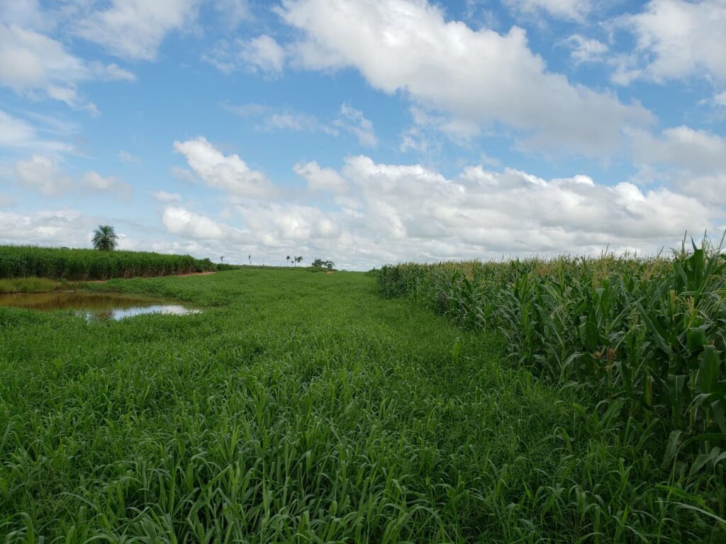 5700 ha Estancia en Sª Rosa del Aguará y