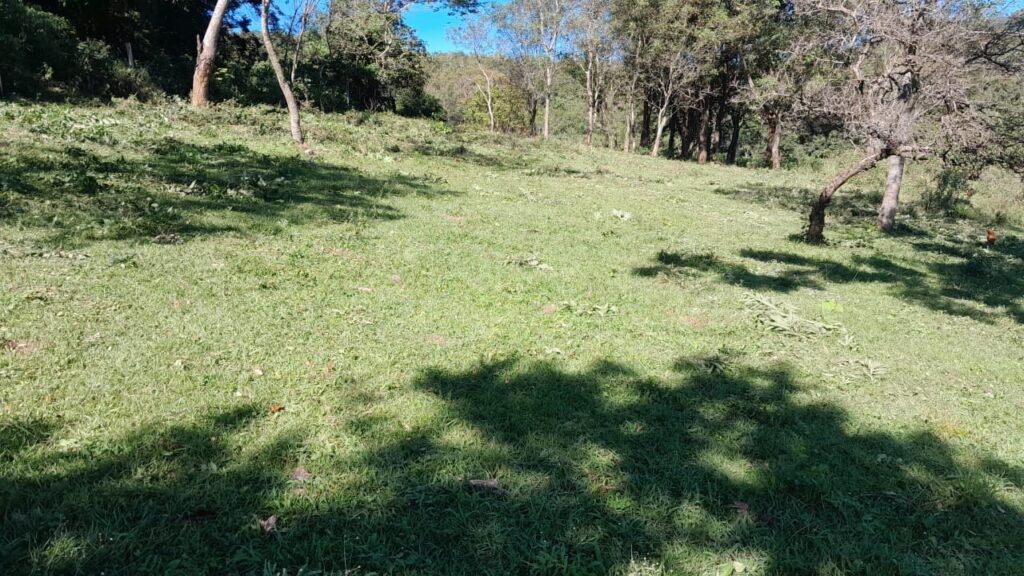 60 ha en Colonia Independencia