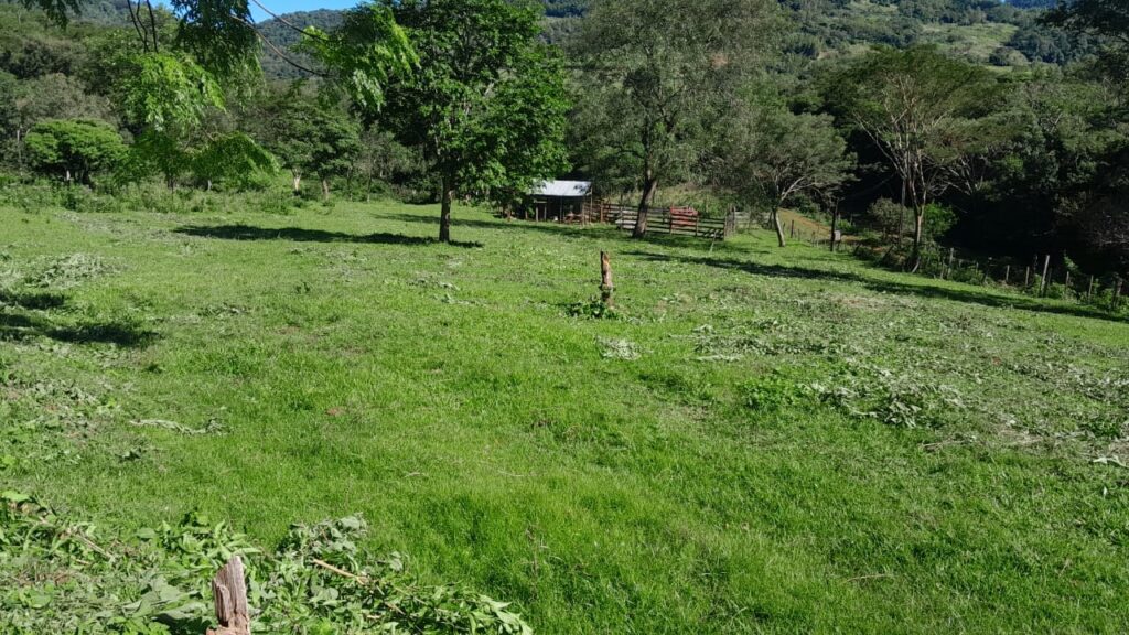 60 ha en Colonia Independencia
