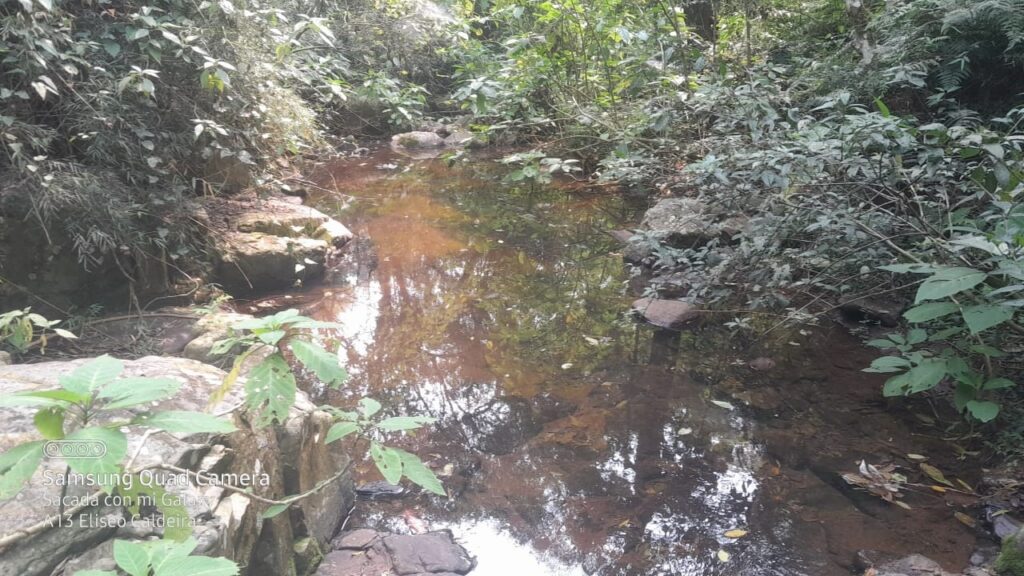 60 ha en Colonia Independencia