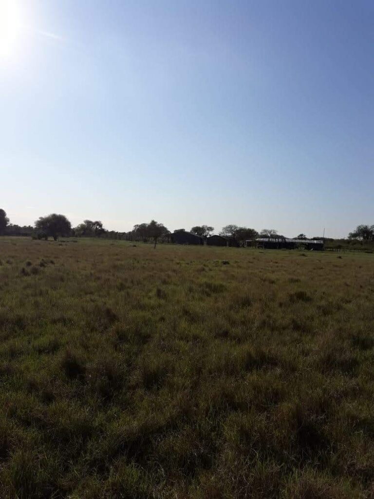 6555 ha Estancia en Toro Pampa