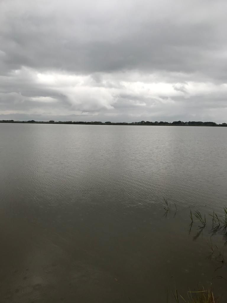6565 ha para arrozal en Yavevyry.