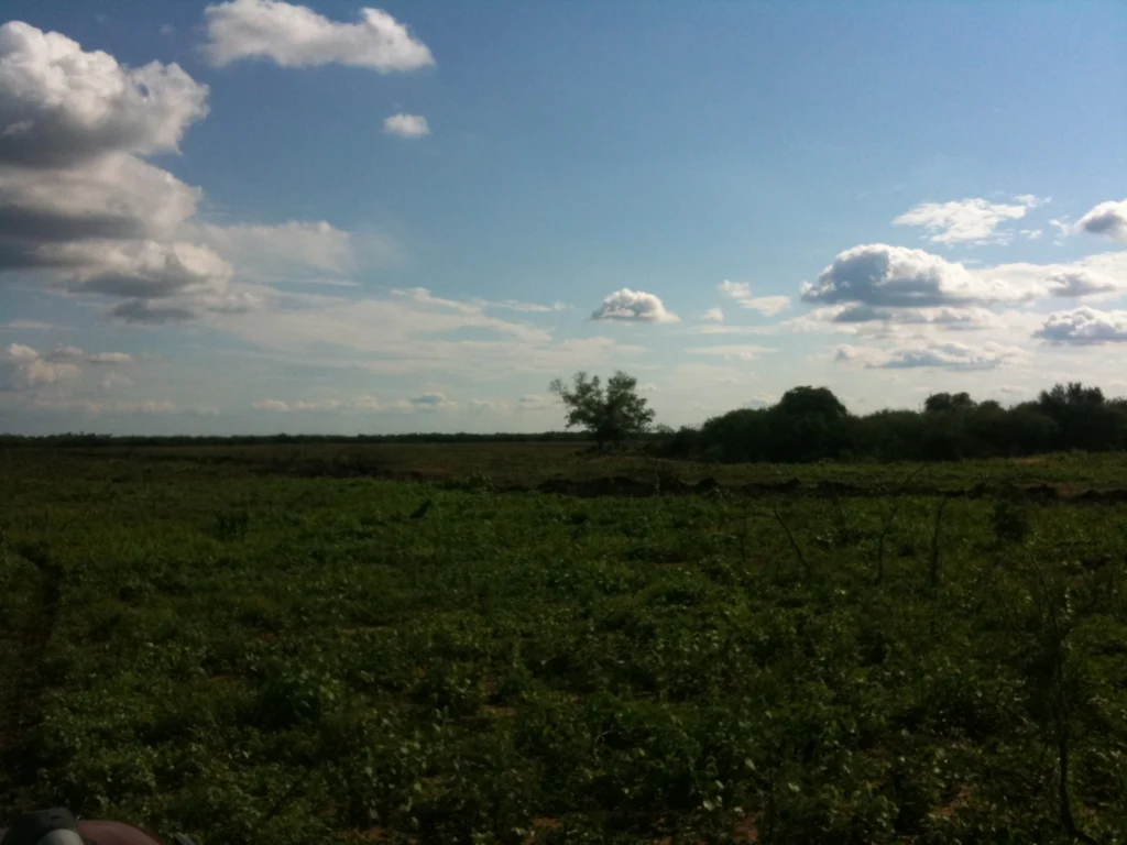 7264 ha Estancia en Pirizal Boquerón