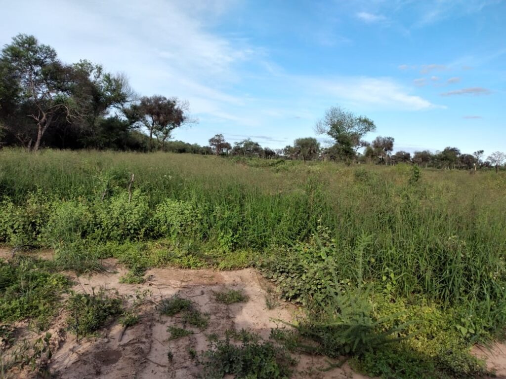 800 ha Estancia en Boquerón
