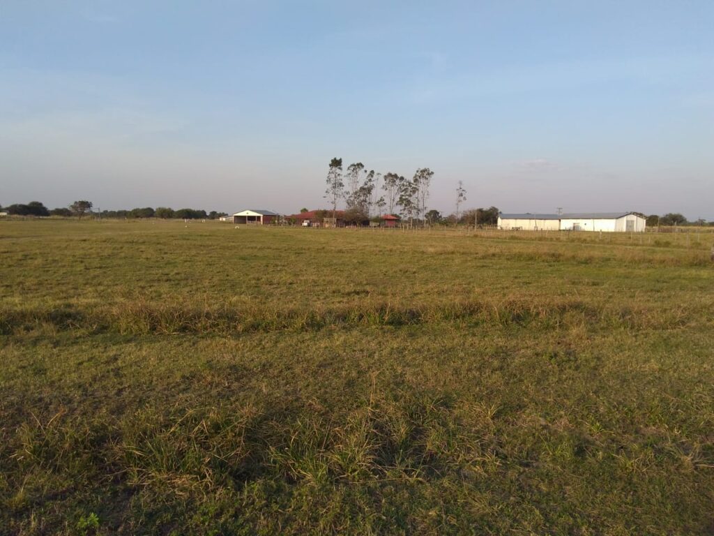 8000 ha Estancia en Carmelo Peralta
