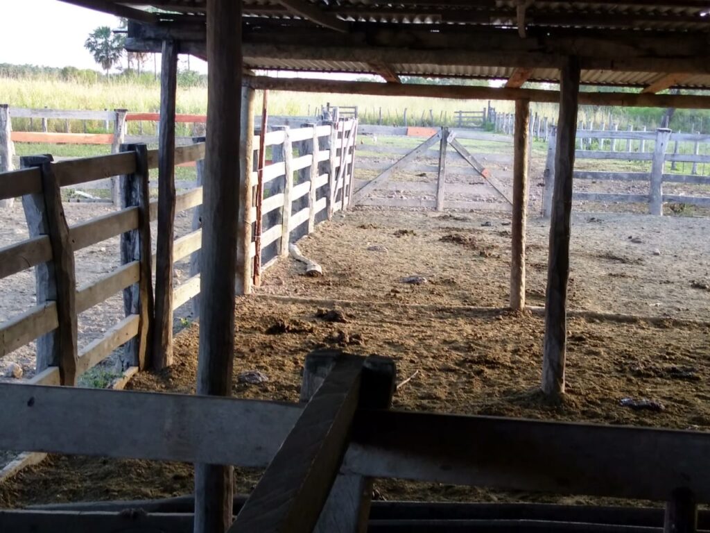8000 ha Estancia en Carmelo Peralta