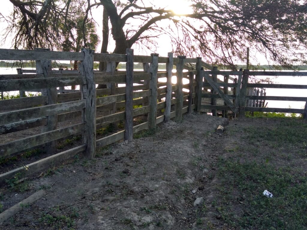8000 ha Estancia en Carmelo Peralta