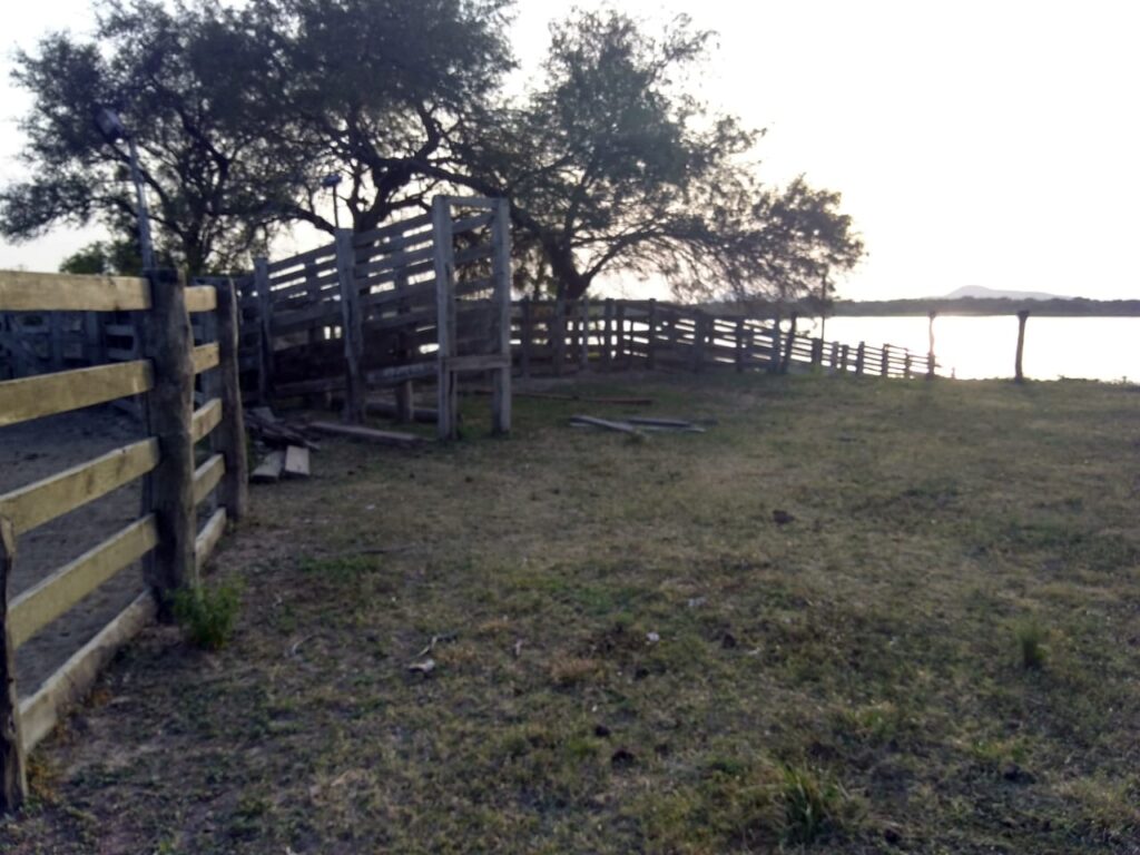 8000 ha Estancia en Carmelo Peralta