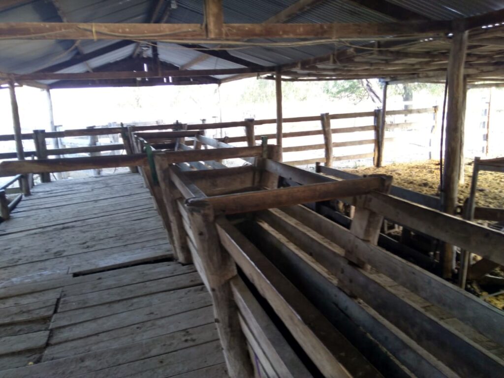 8000 ha Estancia en Carmelo Peralta