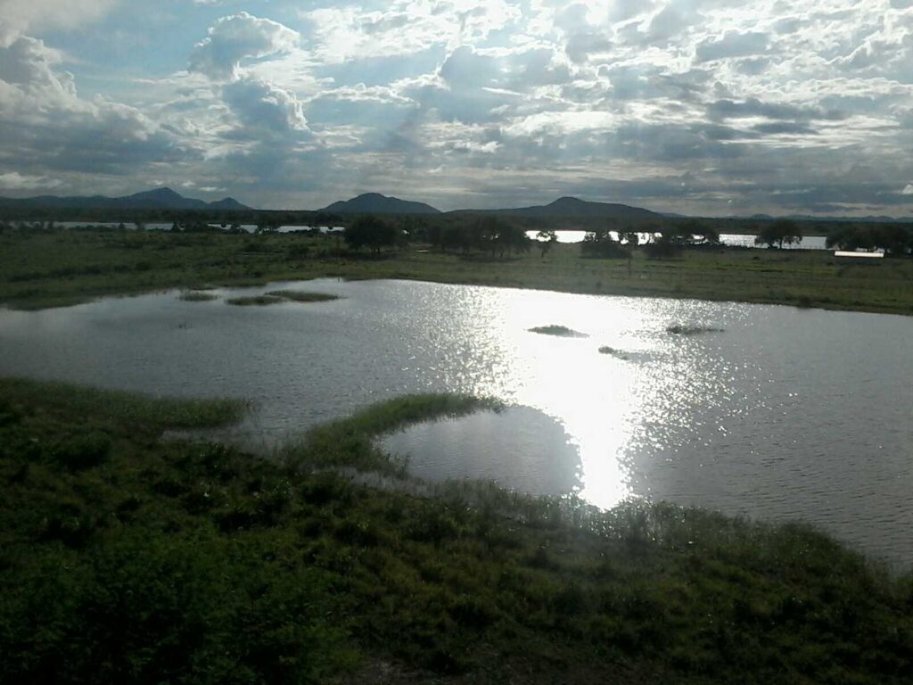 8000 ha Estancia en Carmelo Peralta