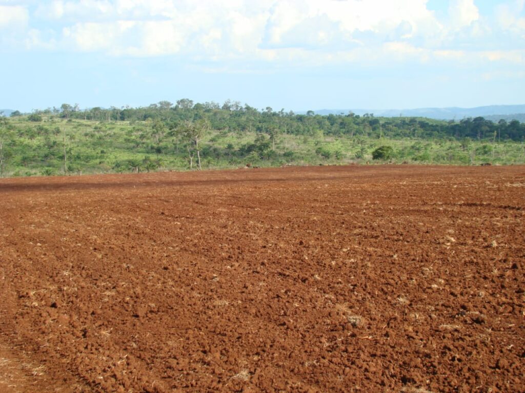 8258 ha Agrícola -Ganadero en P.J.Caballero