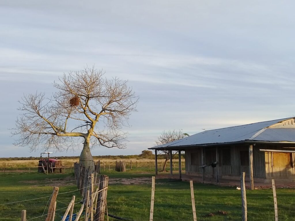 8489 ha – Tte. Manuel Irala Fernández