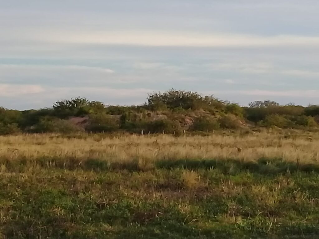 8489 ha – Tte. Manuel Irala Fernández