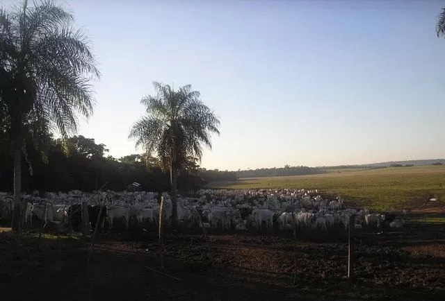 8653 ha en Alto Vera