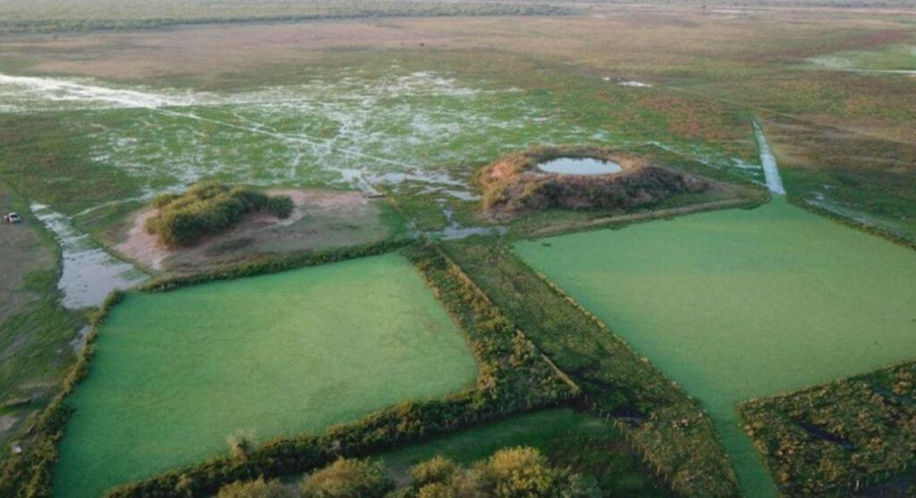 921 ha Estancia en Esteban Martínez – Pdte. Hayes
