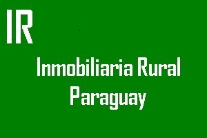 6565 ha para arrozal en Yavevyry.