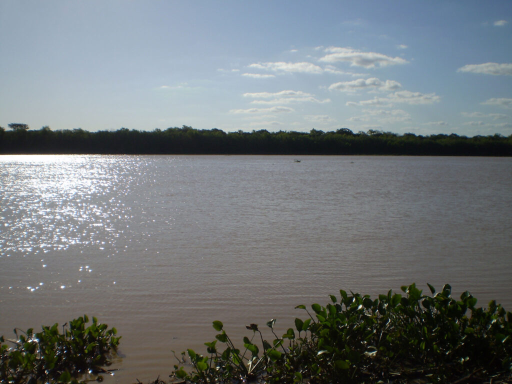 424 ha Puerto de aguas profundas