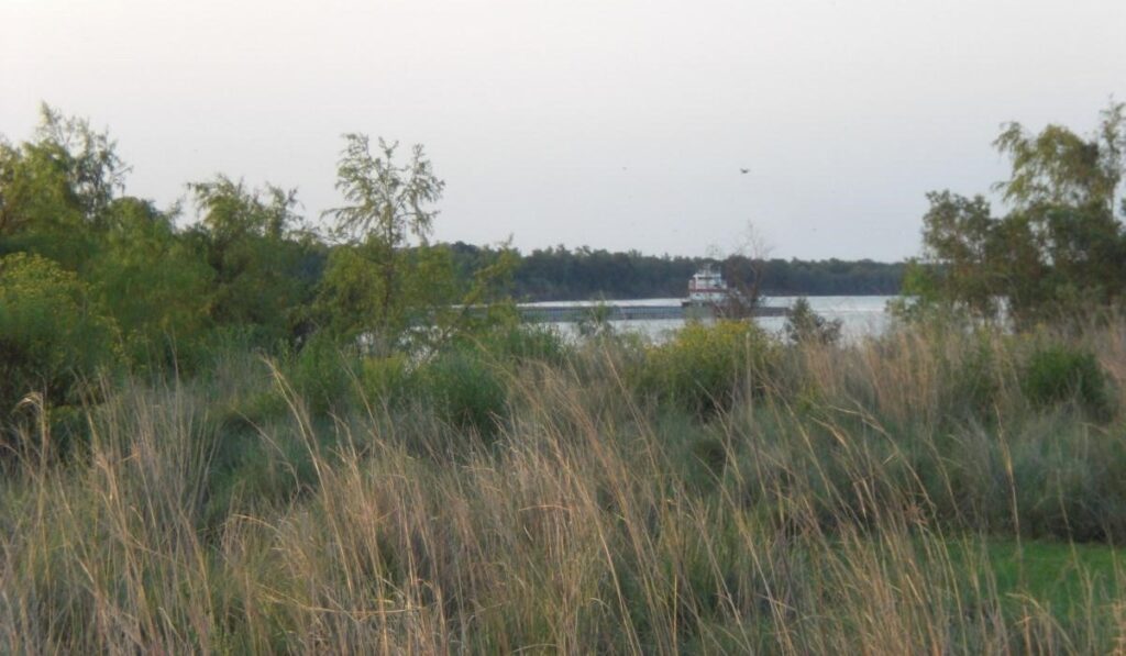 424 ha Puerto de aguas profundas
