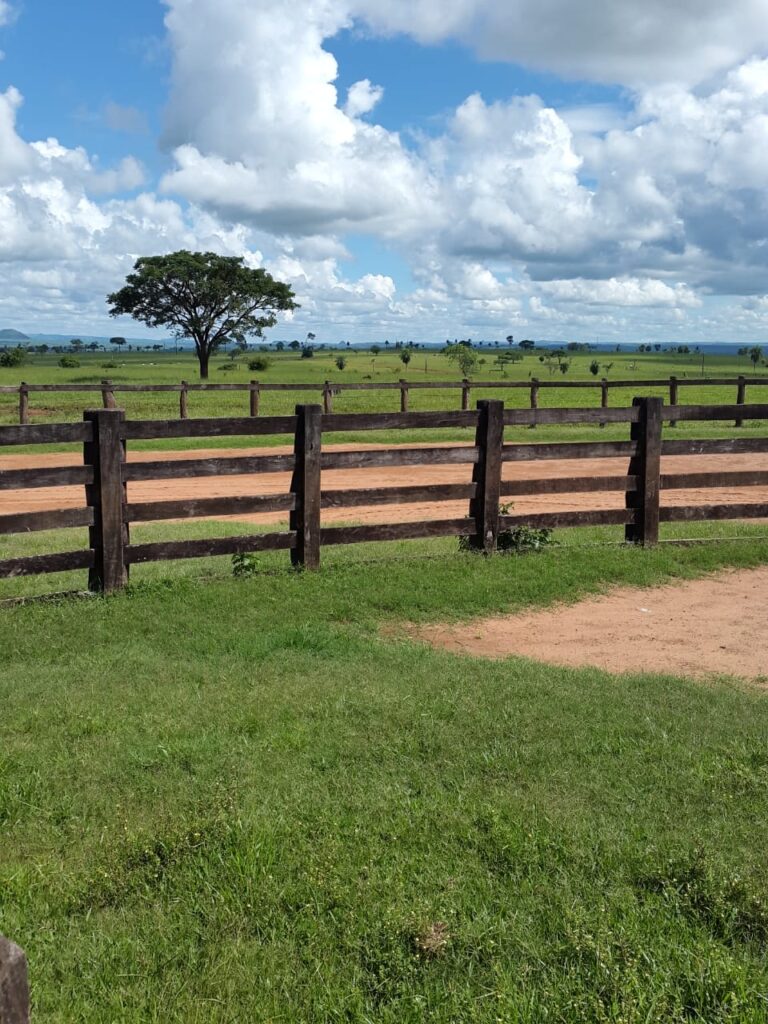 8258 ha Agrícola -Ganadero en P.J.Caballero